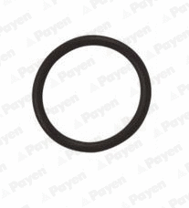 Seal Ring, oil drain plug (WG1183107)