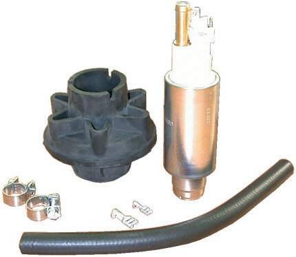 Repair Kit, fuel pump (WG1014653)
