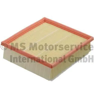 Air Filter (WG1019283)