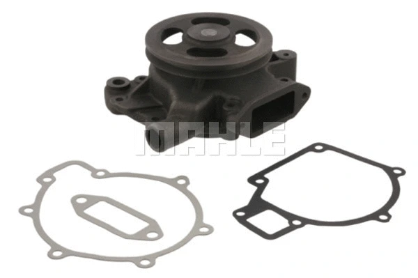 Water Pump, engine cooling (WG2181918)