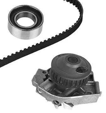 Water Pump & Timing Belt Kit (WG1790850)