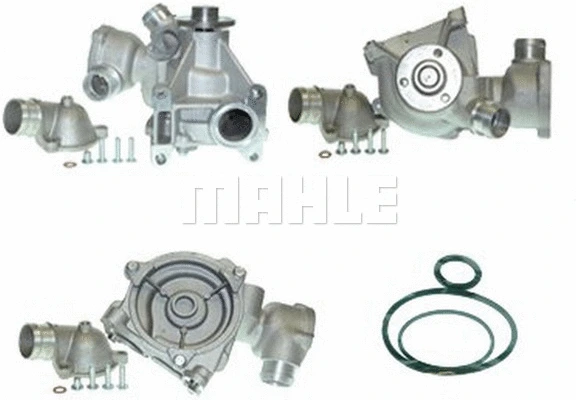 Water Pump, engine cooling (WG2181591)