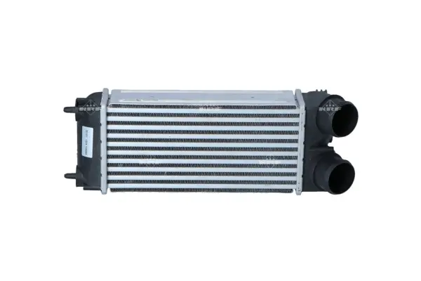 Charge Air Cooler (WG1723768)