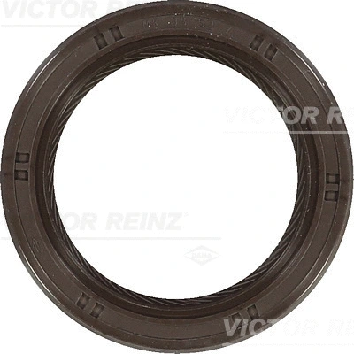 Shaft Seal, camshaft (WG1103979)