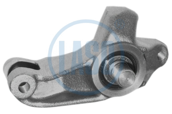 Tensioner Lever, V-ribbed belt (WG1990231)