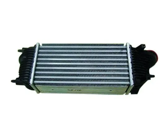 Charge Air Cooler (WG1723874)