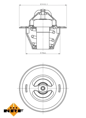 Thermostat, coolant