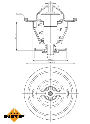 Thermostat, coolant