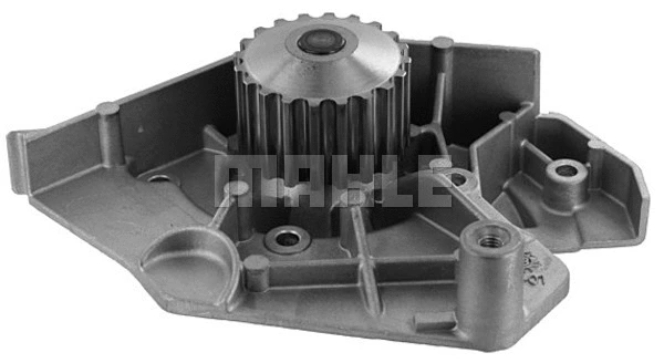 Water Pump, engine cooling (WG2181458)