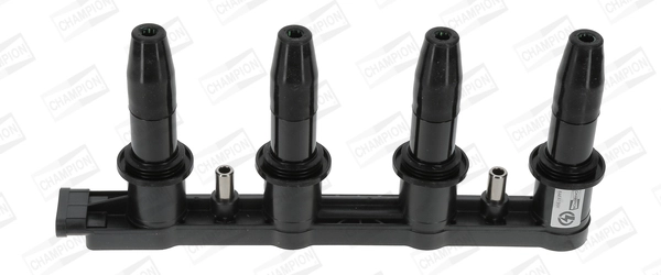 Ignition Coil (WG2009192)