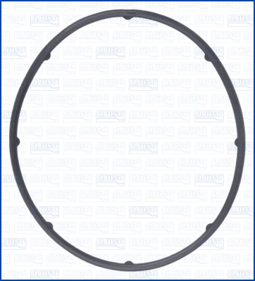 Gasket, water pump (WG1956815)