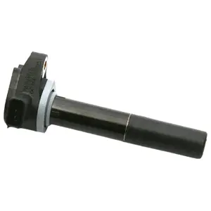 Ignition Coil (WG1498802)