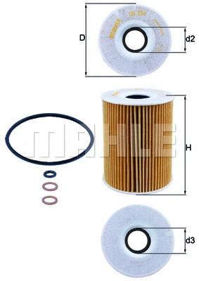 Oil Filter (WG1217341)
