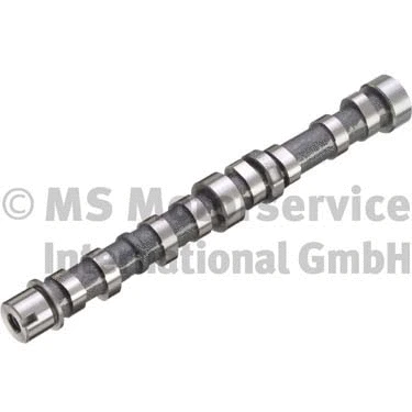Camshaft (WG1017829)