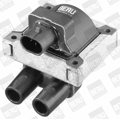 Ignition Coil (WG1487365)
