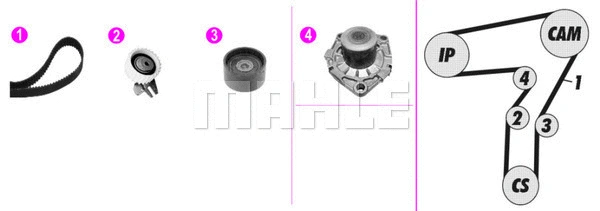 Water Pump & Timing Belt Kit (WG2182103)