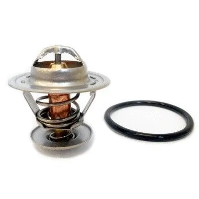 Thermostat, coolant (WG1409183)