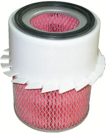 Air Filter (WG1747402)
