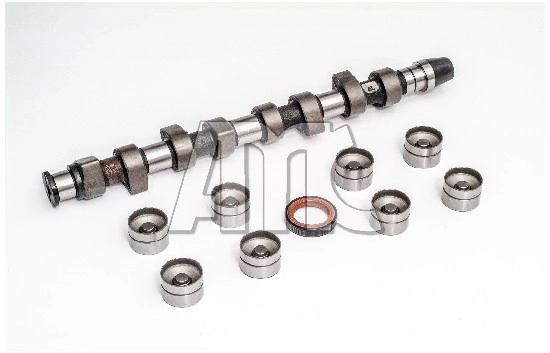 Camshaft Kit (WG2010615)