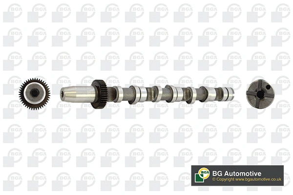 Camshaft (WG1490419)