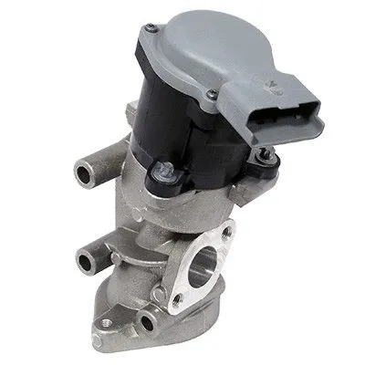 EGR Valve (WG1015352)