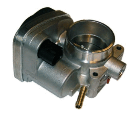 Throttle Body (WG1013523)