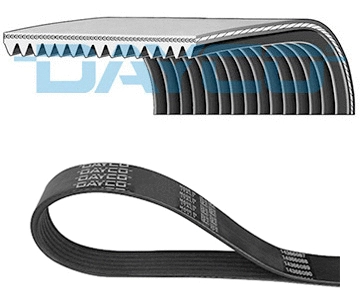V-Ribbed Belt (WG2001848)