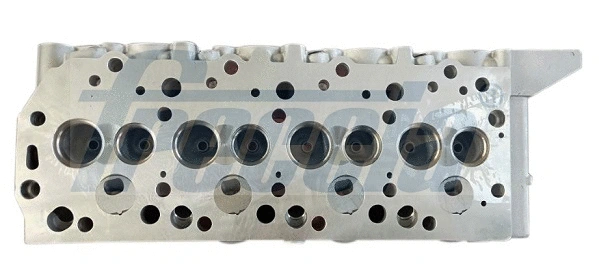 Cylinder Head (WG2202904)