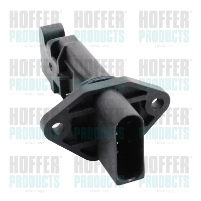 Volume Air Flow Sensor (WG2136447)