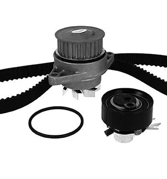 Water Pump & Timing Belt Kit (WG1909478)