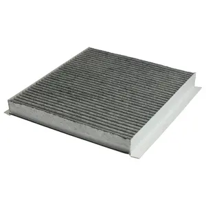 Filter, cabin air (WG1774781)