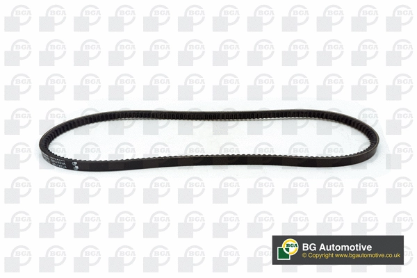 V-Belt (WG1907552)