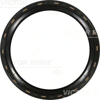Shaft Seal, crankshaft (WG1103913)