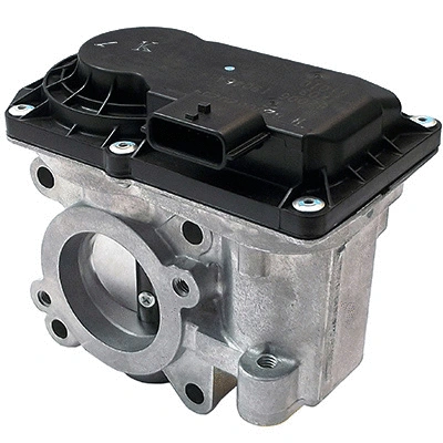 Throttle Body (WG1408798)
