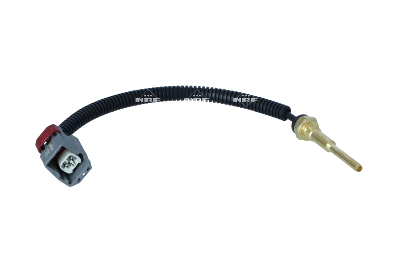Sensor, coolant temperature (WG2305781)