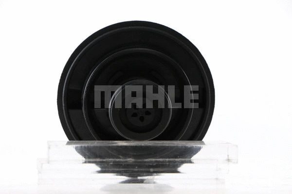 Cap, coolant tank (WG2184191)