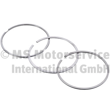 Piston Ring Kit (WG1024390)