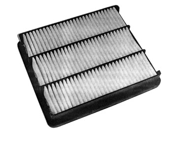 Air Filter (WG1747444)