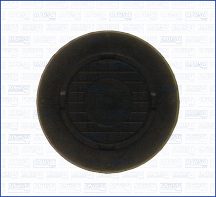 Locking Cover, camshaft (WG1447309)
