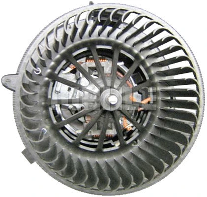 Interior Blower