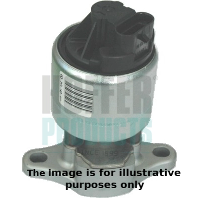 EGR Valve (WG1965194)