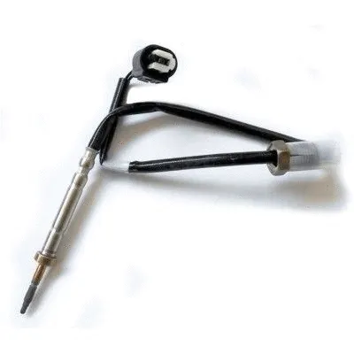 Sensor, exhaust gas temperature (WG1748777)