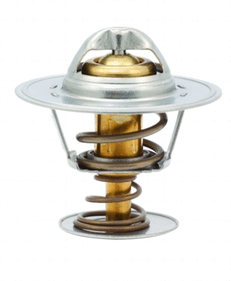 Thermostat, coolant (WG1409193)