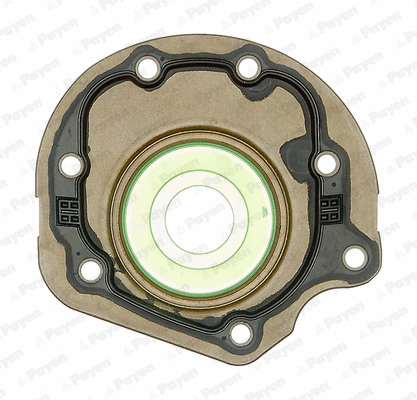 Shaft Seal, crankshaft (WG1090828)