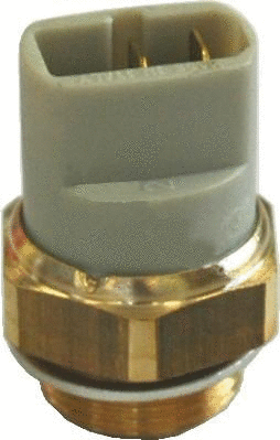 Temperature Switch, radiator fan (WG1748926)