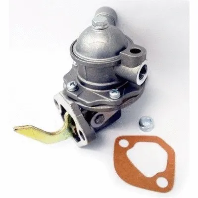 Fuel Pump (WG1750113)