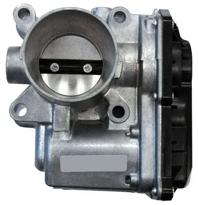 Throttle Body (WG1309311)