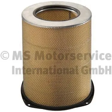 Air Filter (WG1018974)