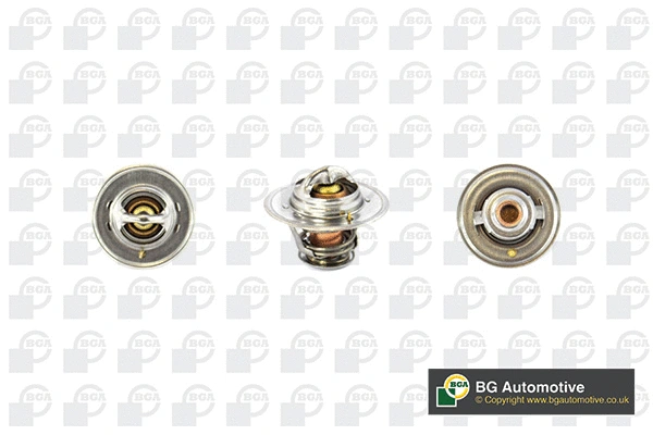 Thermostat, coolant (WG1760570)