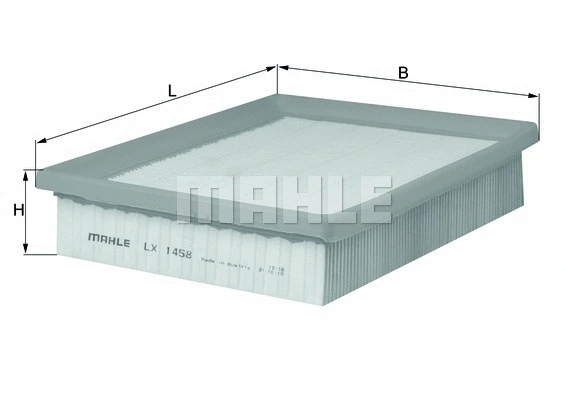 Air Filter (WG1215916)